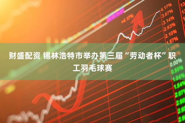 财盛配资 锡林浩特市举办第三届“劳动者杯”职工羽毛球赛