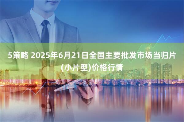 5策略 2025年6月21日全国主要批发市场当归片(小片型)价格行情