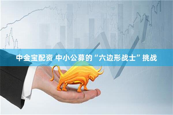 中金宝配资 中小公募的“六边形战士”挑战