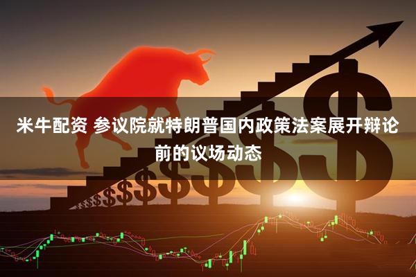 米牛配资 参议院就特朗普国内政策法案展开辩论前的议场动态