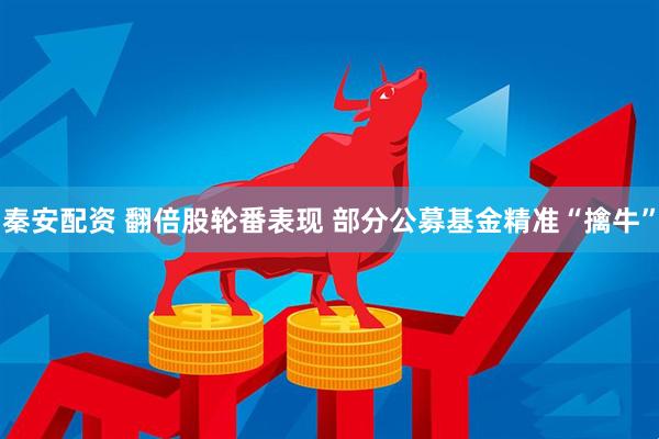 秦安配资 翻倍股轮番表现 部分公募基金精准“擒牛”