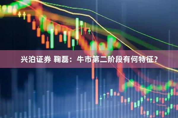 兴泊证券 鞠磊：牛市第二阶段有何特征？