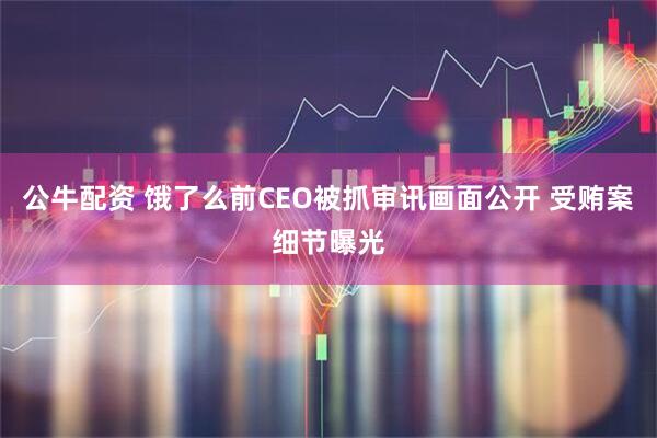 公牛配资 饿了么前CEO被抓审讯画面公开 受贿案细节曝光