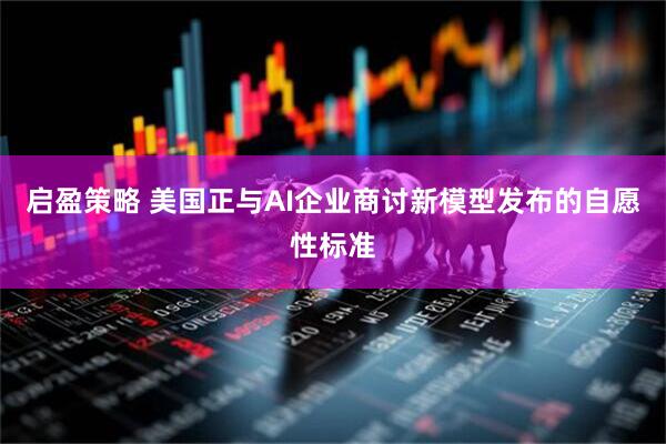 启盈策略 美国正与AI企业商讨新模型发布的自愿性标准